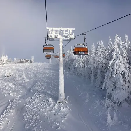 Amore Apartment * Jachymov